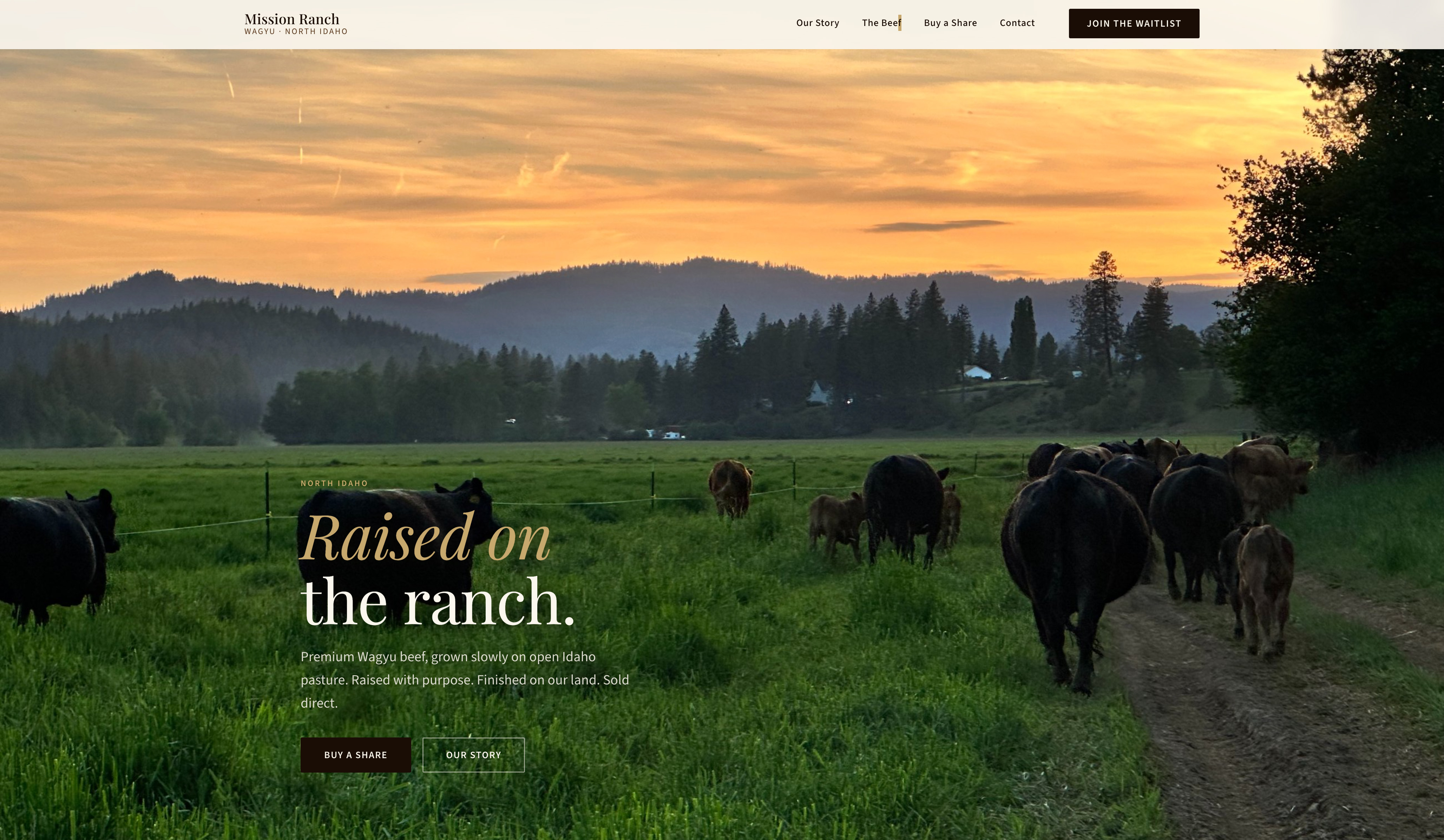 Mission Ranch cattle ranch website homepage showing Idaho ranch landscape at sunset